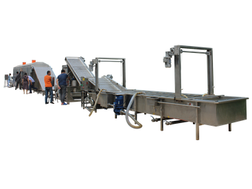 Linha de processamento totalmente automática para lavagem e secagem de passas